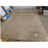 Image 1 : Beige Shag Rug 95" x 124"
