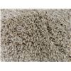 Image 5 : Beige Shag Rug 95" x 124"