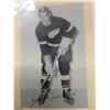Image 2 : Beehive Hockey Photos Gordie Howes Home GRP 2 , Gordie Howe Away GRP 3 