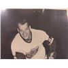 Image 4 : Beehive Hockey Photos Gordie Howes Home GRP 2 , Gordie Howe Away GRP 3 