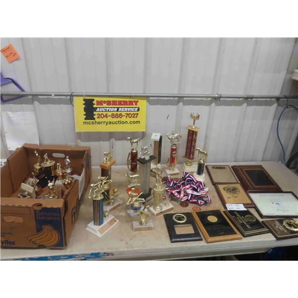 Trophies, Medals, Award Plaques - Hockey, Baseball, Curling, Horse, Hunting - 
