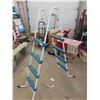 Image 1 : Pool Ladder 48" to Top Step