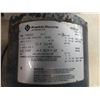 Image 4 : 2 Electric Motors 1/3 HP Emerson Electric + Franklin Electric 1 HP