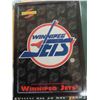 Image 4 : Winnipeg Jets Pin Card 