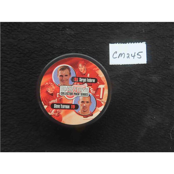 Detroit Red Wings Hockey Town Collector Puck