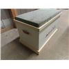 Image 2 : Wood Painted Chest with Padded Top to Sit On 21" X 24" x 38"