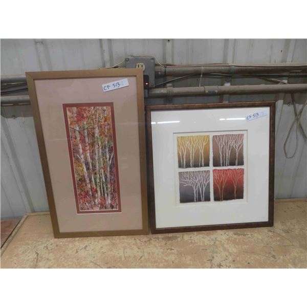 2 Framed Prints ; 15.5" x 25.5"  & 20.5" x 20.5"