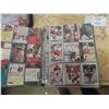 Image 18 : 3 Binders of 90s + Newer Hockey Cards