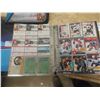 Image 21 : 3 Binders of 90s + Newer Hockey Cards