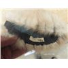 Image 4 : Ladies Fur Hat, Mitts, Stoll, Muff