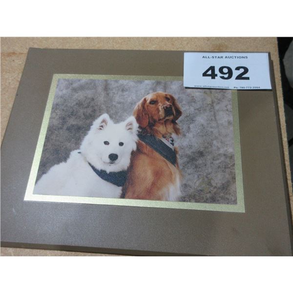 SEIZURE:  DOG PICTURE