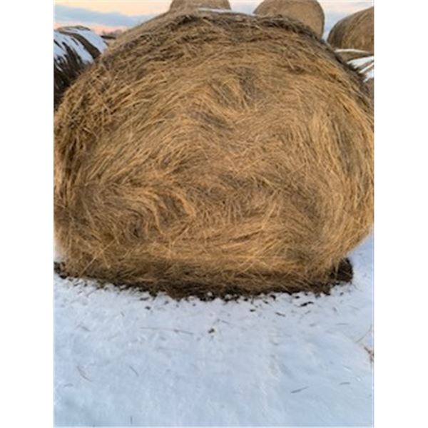 HAY - SOFT CORE ROUND BALES (X9)