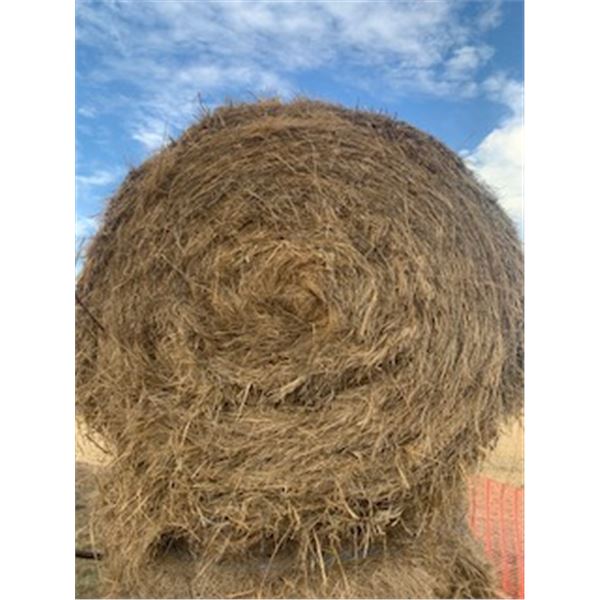HAY - HARD CORE BALES (X10)