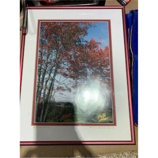 SEIZURE:  CORNERBROOK, NEWFOUNDLAND FRAMED PHOTO