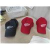 Image 2 : Detroit Red Wings ; (7) Ball Caps, Zippered Hoodie Sz 2XL & Hoodie Sz 3XL 