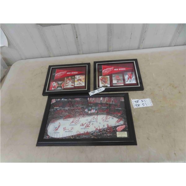 2012 Limited Edition Detroit Red Wings Signature rink & Framed Cards + Pendants
