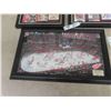 Image 5 : 2012 Limited Edition Detroit Red Wings Signature rink & Framed Cards + Pendants