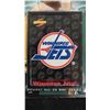 Image 3 : Winnipeg Jets Pin Cards