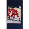 Image 1 : Sergei Federov Detroit Red Wings Signed 8" x 10" 