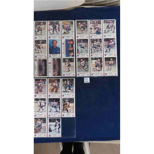 Winnipeg Jets 1985/86 26 Card Police Set 