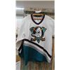 Image 1 : Paul Kariya Anaheim Mighty Ducks Jersey Sz Sm