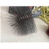 Image 2 : 2 Rope Tighteners, Chimney Cleaner Brush 
