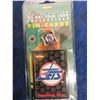 Image 2 : Winnipeg Jets Pin Card