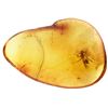 Image 2 : Baltic amber with preserved ant, approx. 44 million years old, from Kaliningrad, Russia.