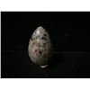 Image 2 : YOOPERLITE EGG RETAIL $580