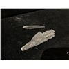 Image 3 : GENUINE NATURAL RARE BLACK KYANITE SPECIMEN RETAIL $900