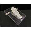 Image 2 : NATURAL ROUGH CLEAR QUARTZ WITH INCLUSION RETAIL $800