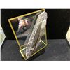 Image 2 : ORTHOCERAS FOSSIL PLAQUE 7.5" RETAIL $1400