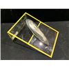 Image 2 : ORTHOCERAS FOSSIL PLAQUE RETAIL $800