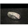 Image 2 : AMMONITE FOSSIL (MOROCCO) RETAIL $300