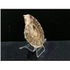 Image 2 : GENUINE AMMONITE AGONIATITE FOSSIL SPECIMEN RETAIL $800