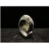 Image 2 : GENUINE AMMONITE AGONIATITE FOSSIL SPECIMEN RETAIL $500