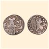 Image 1 : Karkotakas of Kashmir, Vinayaditya