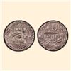 Image 1 : Akbar