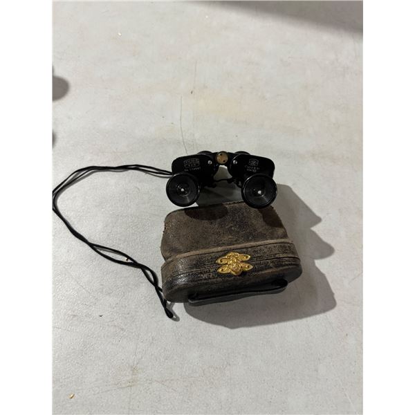 Skyline binoculars with case