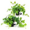 Image 1 : plants