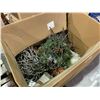 Image 2 : PALLET OF VARIOUS CHRISTMAS LIGHTS, BULBS, WREATHS, & DECORATIONS