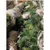 Image 2 : PALLET OF 10' WHITE POLE ILLUMINATED CHRISTMAS GARLAND DISPLAYS
