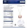 Image 4 : 26.74 ctw Morganite and 0.75 ctw Diamond 14K Rose Gold Pendant