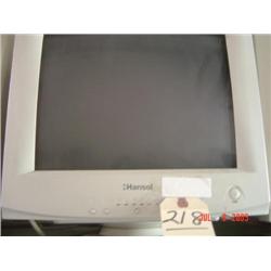 Computer Monitor