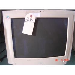Computer Monitor