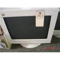 Computer Monitor