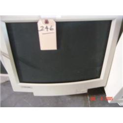 Computer Monitor