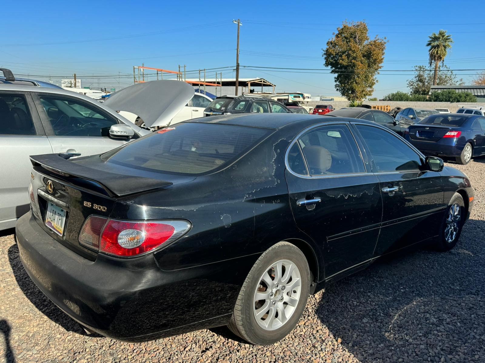 2003 LEXUS ES 300 2003 lexus es 300