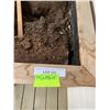 Image 3 : Wood Double Planter Box w Dirt