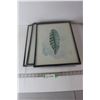 Image 1 : (3) Photo Frame Prints - Each 12" x 15.7"
